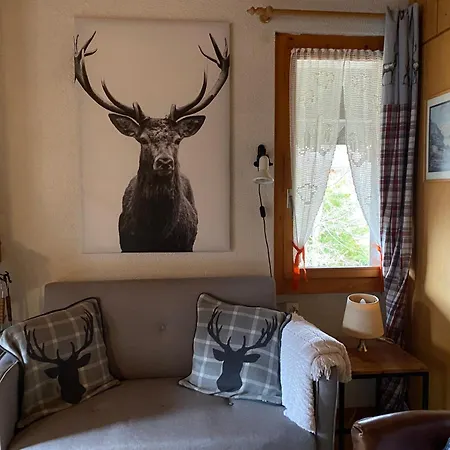 Tolle 2,5 Galeriewohnung Apartament